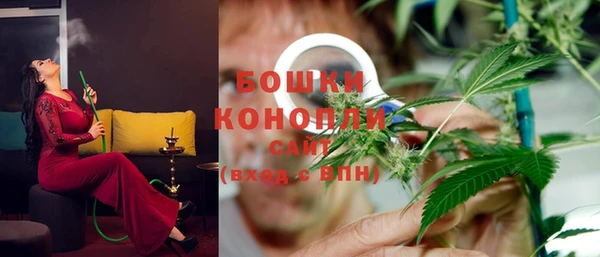 прущие крисы Новозыбков