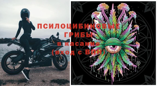 прущие крисы Новозыбков