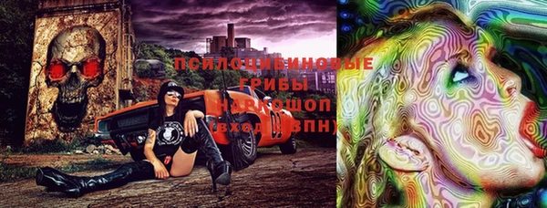 каннабис Новодвинск