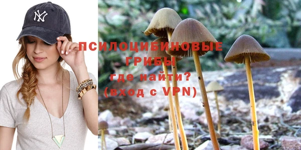 каннабис Новодвинск