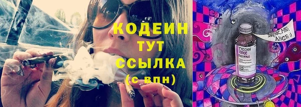 прущие крисы Новозыбков