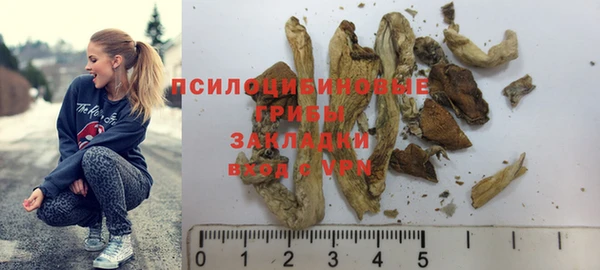 прущие крисы Новозыбков