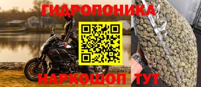 прущие крисы Балаково