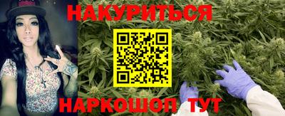 стаф Аргун