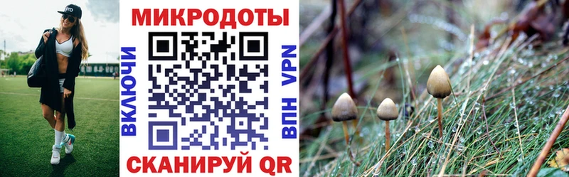 darknet какой сайт  где купить наркотик  Гурьевск  Галлюциногенные грибы Psilocybe 