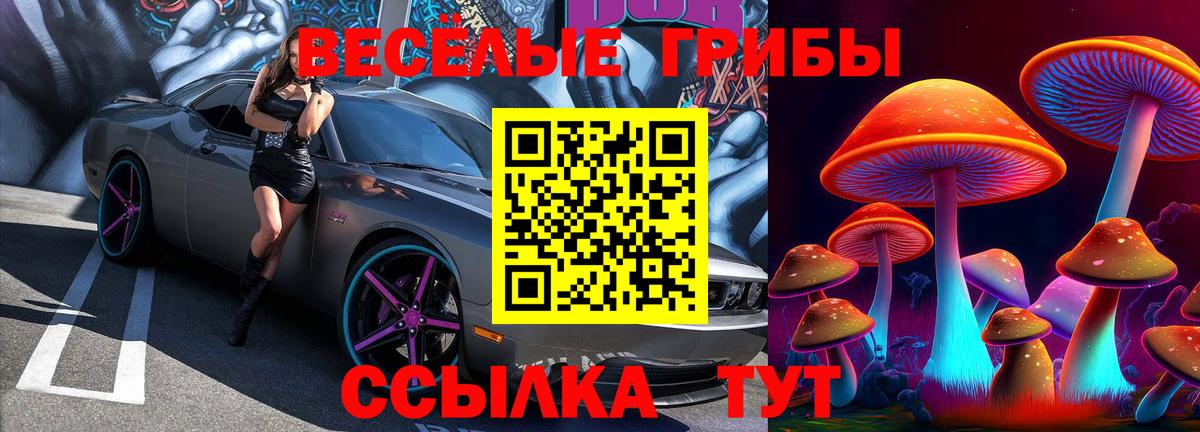 Псилоцибиновые грибы GOLDEN TEACHER Гурьевск