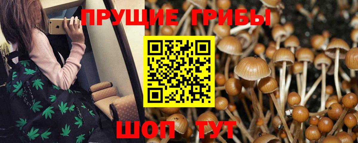 Галлюциногенные грибы Magic Shrooms  даркнет сайт  Галлюциногенные грибы прущие грибы  Гурьевск 