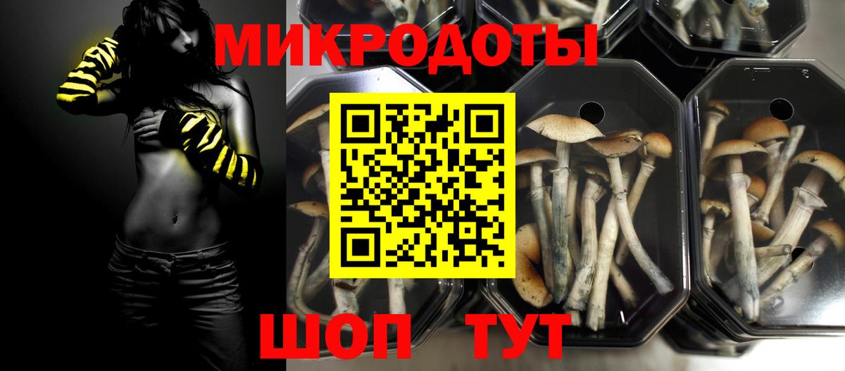 Гурьевск  Галлюциногенные грибы GOLDEN TEACHER  Вход с VPN 