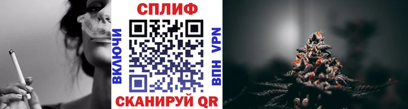 купить наркотики сайты Гурьевск Бошки Шишки SATIVA & INDICA